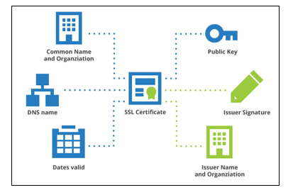 SSL Certificate